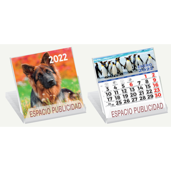 CD 202 - Calendario CD Animales
