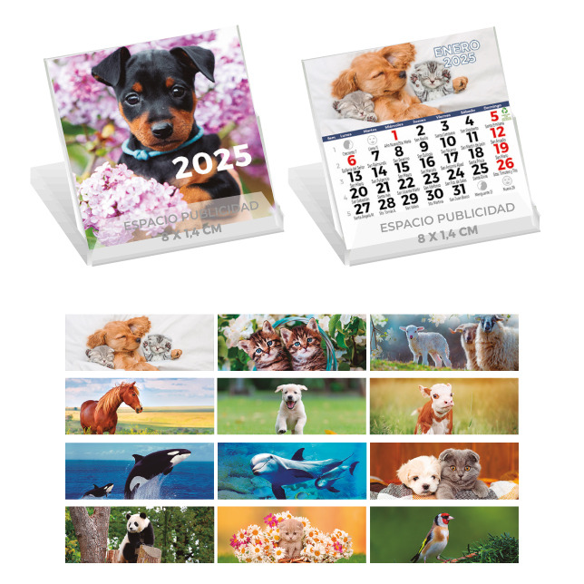 CD202 - Calendario CD Animales