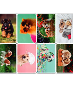 Calendario tarjeta x8 perros