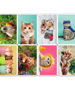 Calendario tarjeta x8 gatos